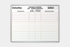 Organizador de Pared Magnético Grande 120x240