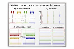 Organizador de Pared Grande 120x240